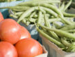 Vegetables at Farmers Market