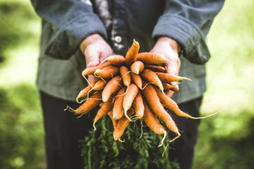 Produce Safety Training Sessions for Fruit and Vegetable Farmers