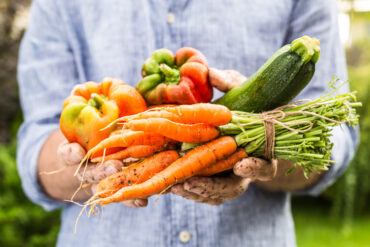 Fruit and Vegetable Growers Called to Share Insights on Anaerobic Soil Disinfestation