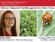 Webinar image