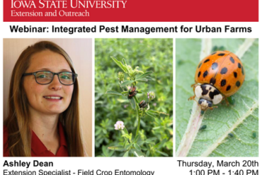 Learn about Food Safety for Urban and Small Farms during Feb. 26 Webinar