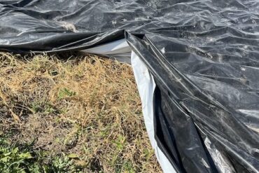 Marketing for Organic and Alternative Producers