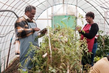 Taste, Learn and Explore at Iowa State University Apple Open House