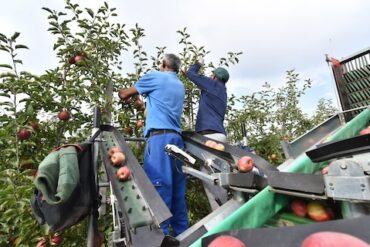 Small Farms Can Access New Resources for Acreage Management, Growing Fruits and Vegetables, Raising Livestock