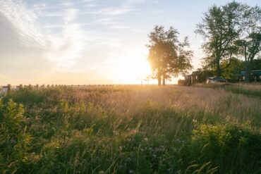 Upcoming Webinar to Discuss Tips for Becoming an Employer of Choice in Food and Agriculture